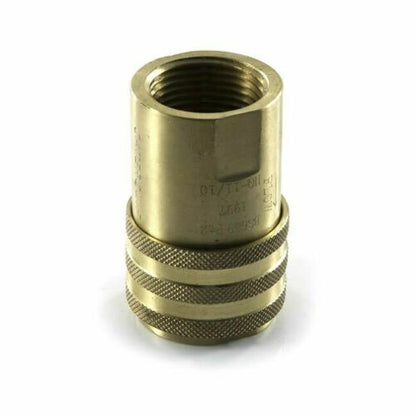 brass hose quick release coupler for catering hose on a white background